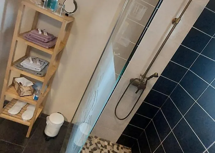 Gasthuis La Grenouillere *